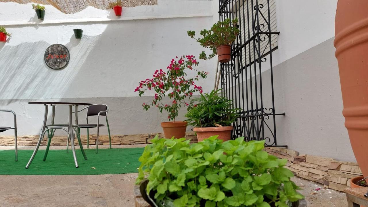 Italica Hostel 桑特帕克 外观 照片